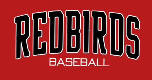 TEE REDBIRDS  BLACK