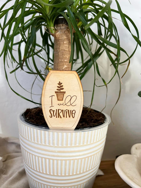 i will survive plant pot I Will Survive Plant Sign