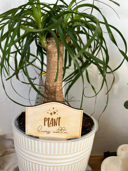 Plant Lives Matter Plant Sign