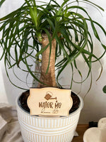 Water Me D*** It! Plant Sign